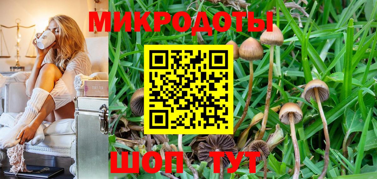 Галлюциногенные грибы Psilocybine cubensis Сосновоборск
